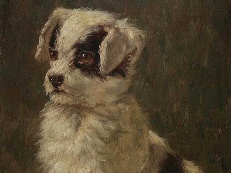 1846-Minna Stocks - Ritratto di cane